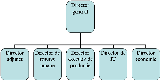 Organization Chart